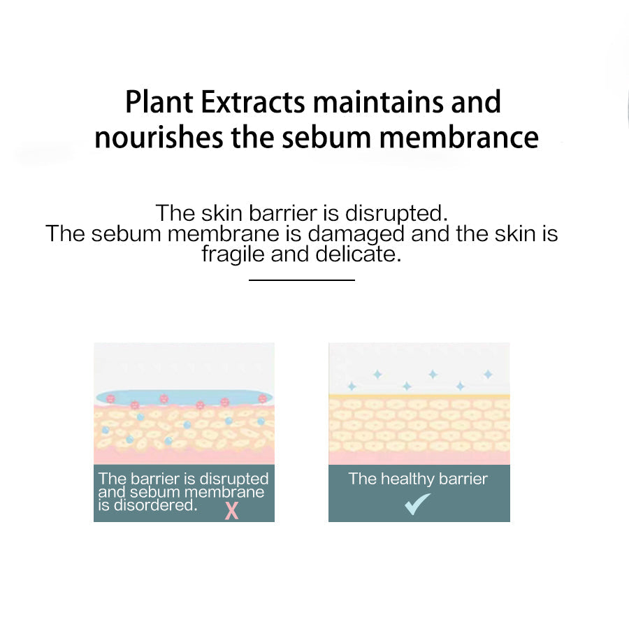 Diagram showing the effect of plant extracts on the sebum membrane and skin barrier.