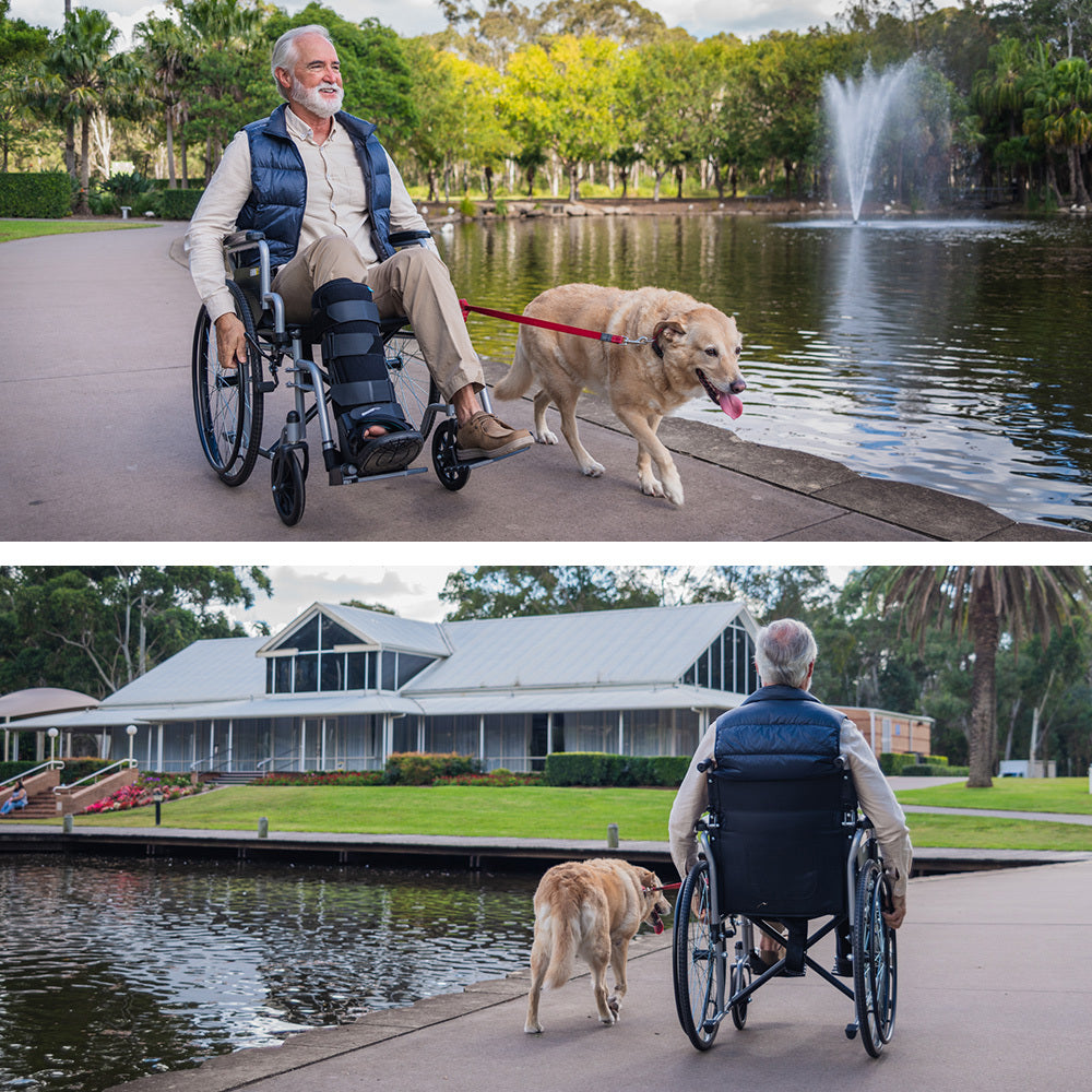 Man in a wheelchair with a dog by a pond with a fountain, then walking along a path.