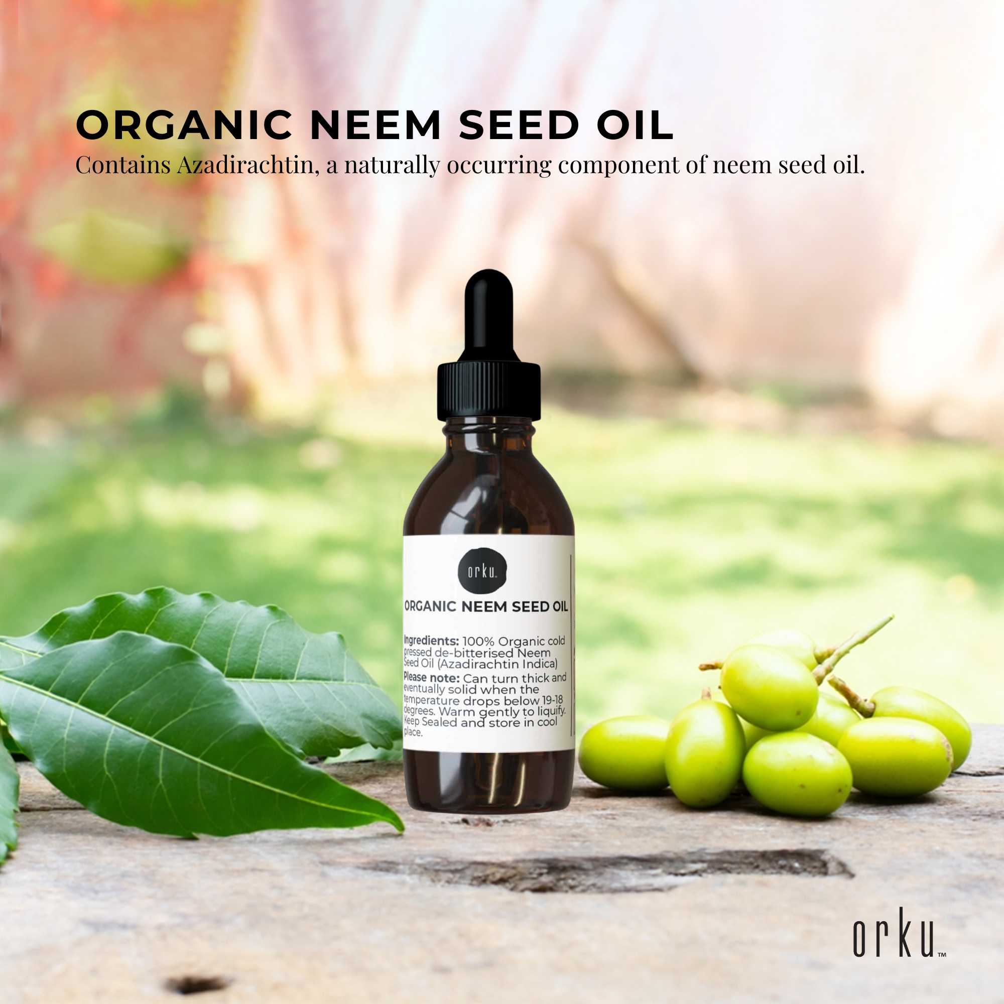 Bottle of organic neem seed oil with leaves and fruits on a wooden surface