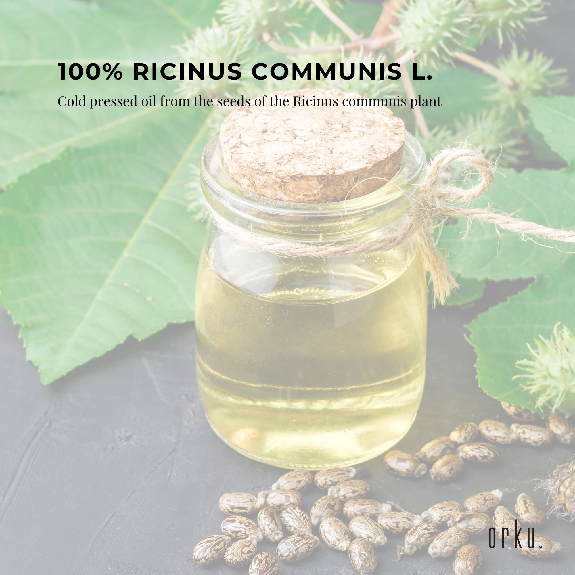 Jar of ricin oil with seeds and leaves on a gray surface, featuring text about Ricinus communis L.