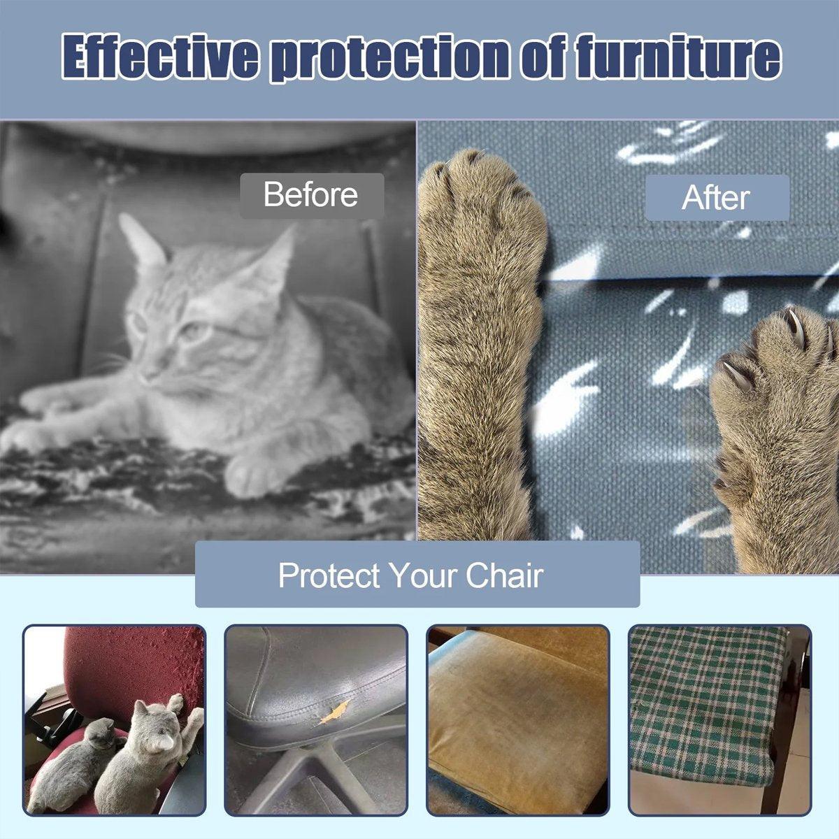 Before and after comparison of a cat on furniture with protective coverings.