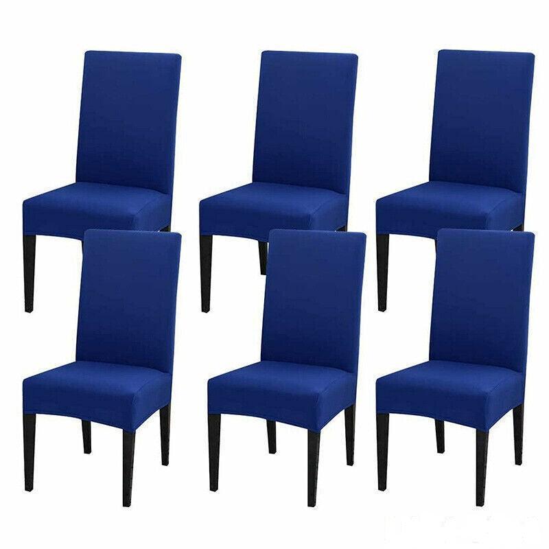 Set of six blue chairs with black legs on a white background