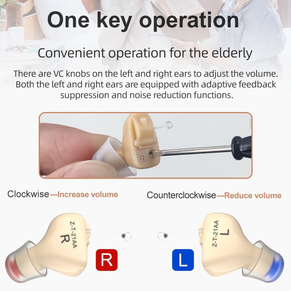 1 Pair In Ear Hearing Aid
