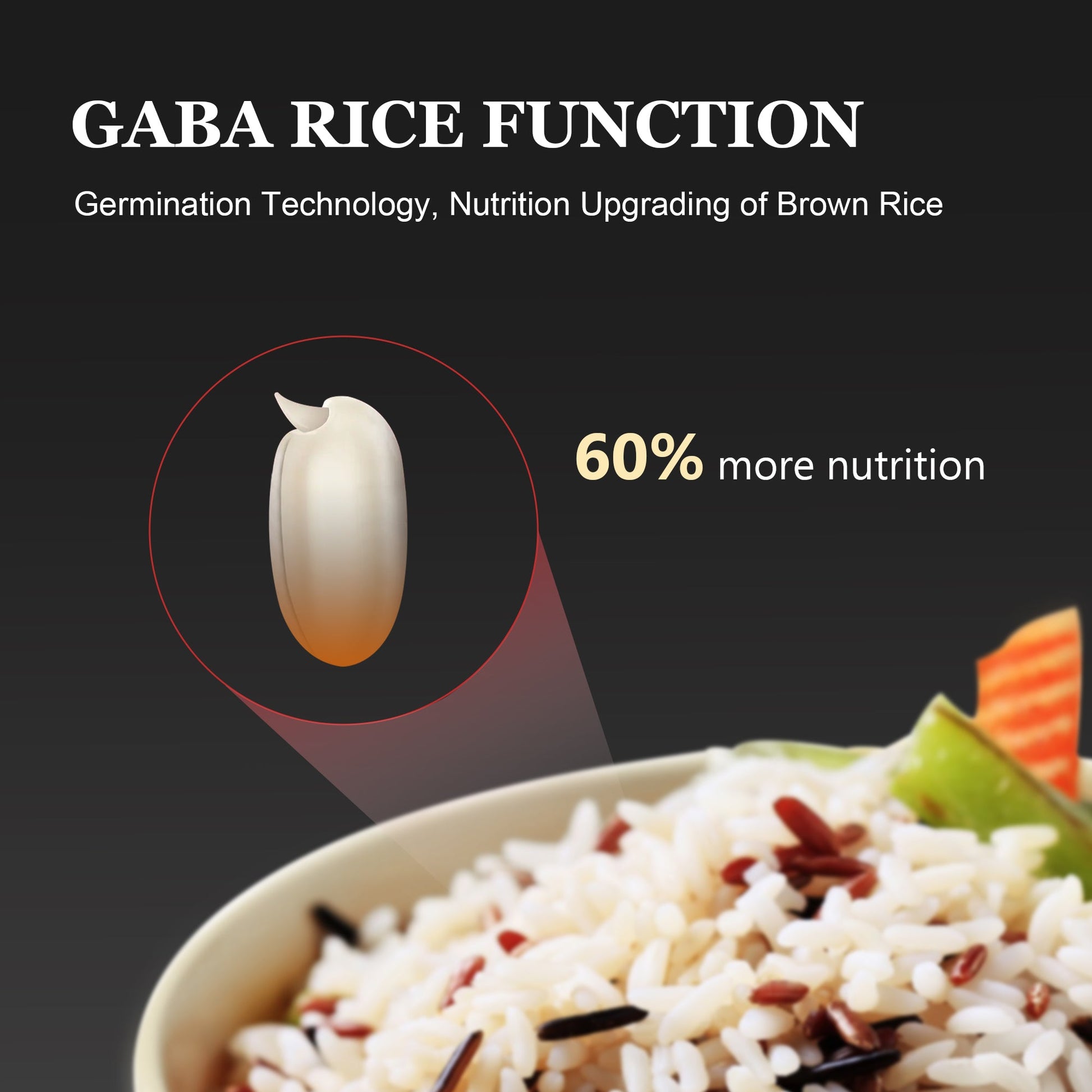 GABA rice with a bowl of rice and vegetables on a dark background, highlighting nutrition upgrade technology.