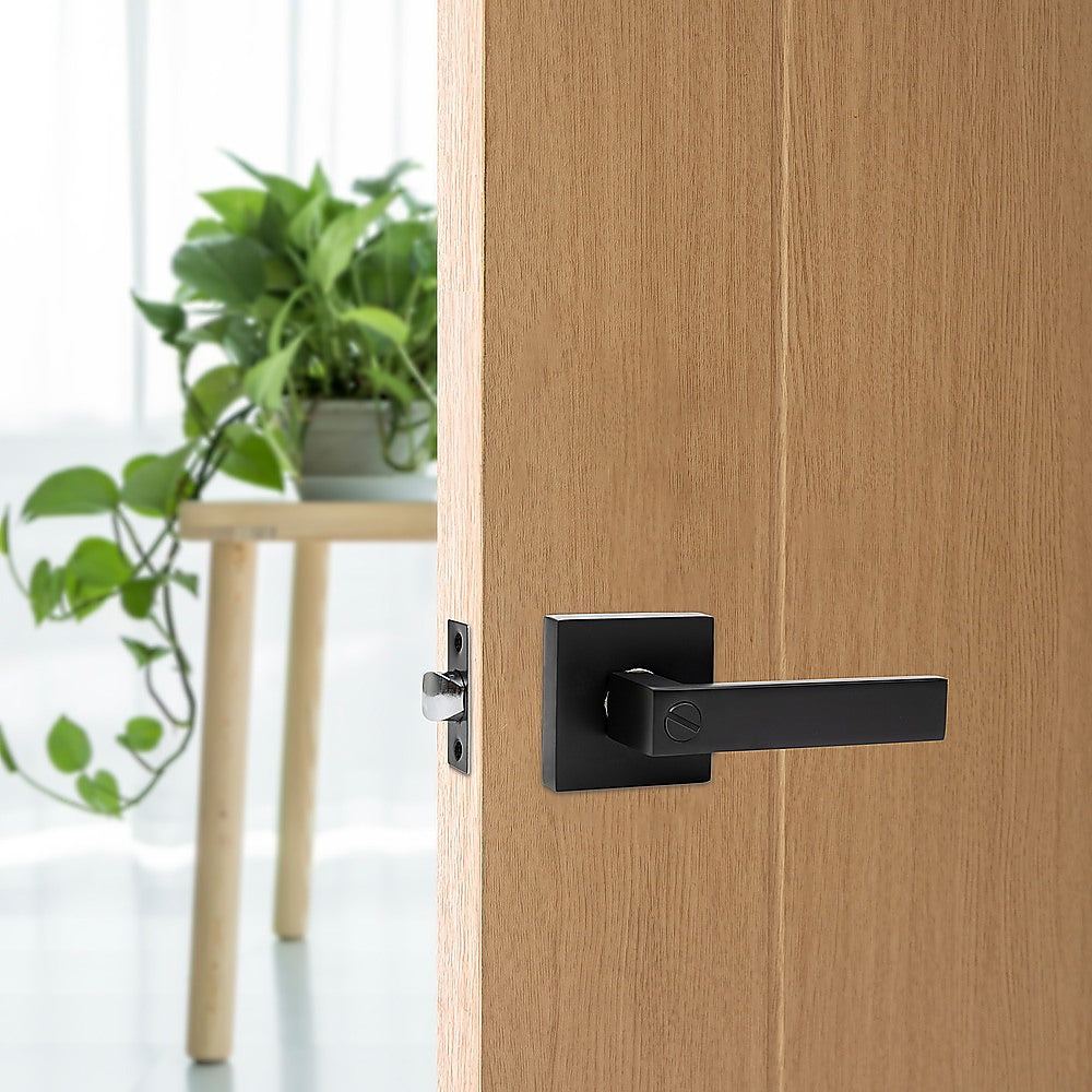 Wooden door with black handle and lock, plant in the background