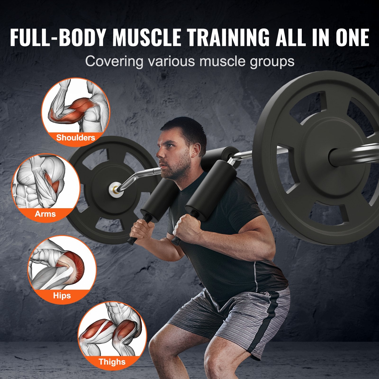 Man lifting weights with full-body muscle training focus on various muscle groups illustrated.